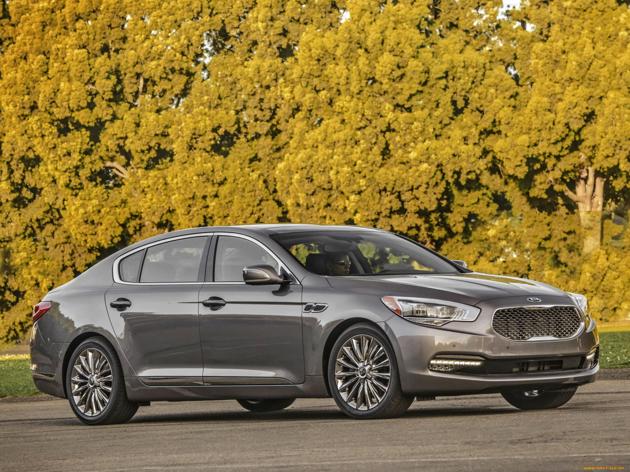 , kia, k900, 2014
